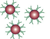 magnetic nanoparticles